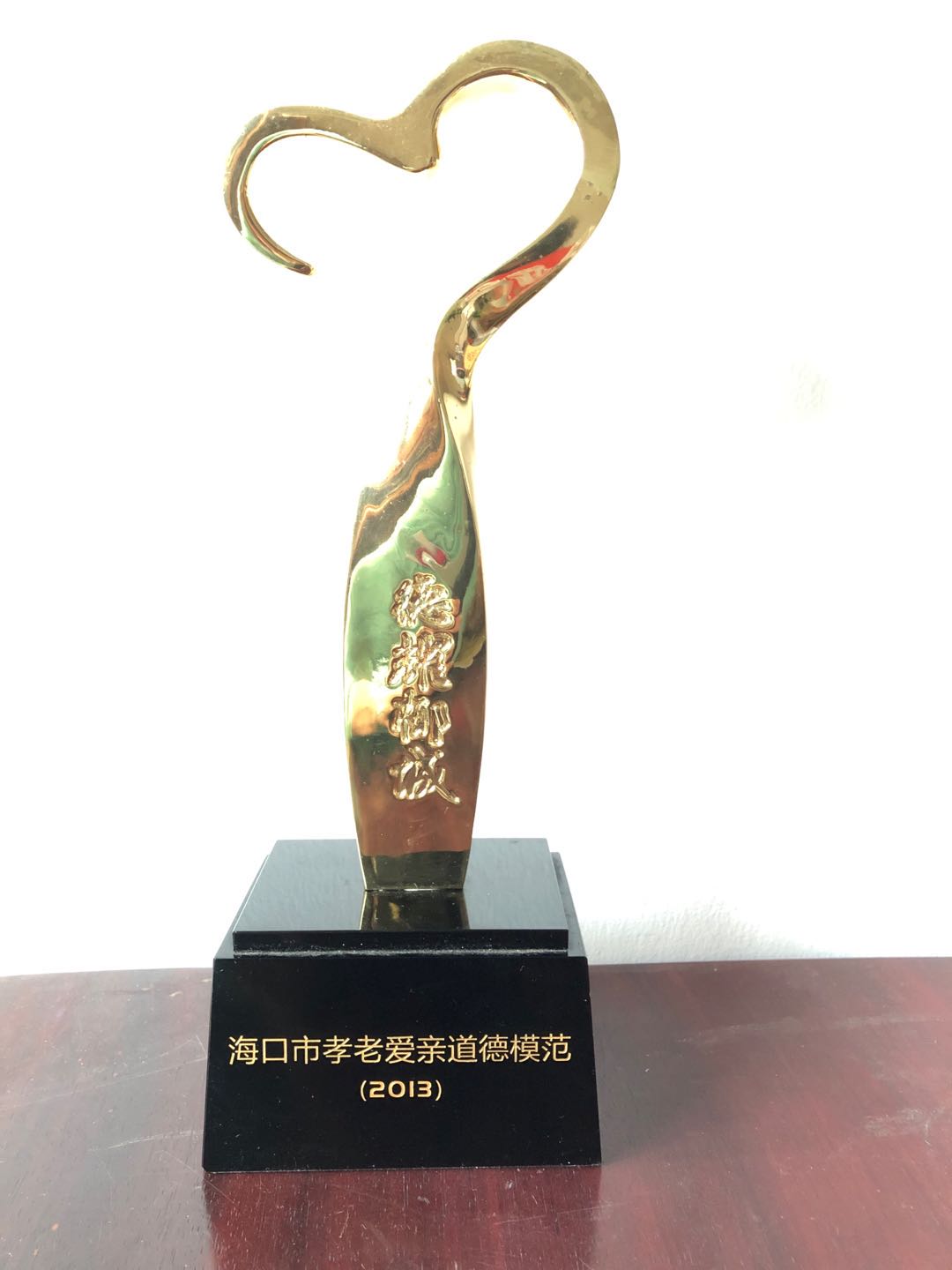 2013年李萍院长被评为“海口市孝老爱亲道德模范”